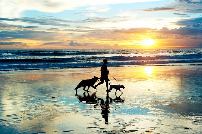 The Luxury Travel Bible - Dog Friendly Holidays